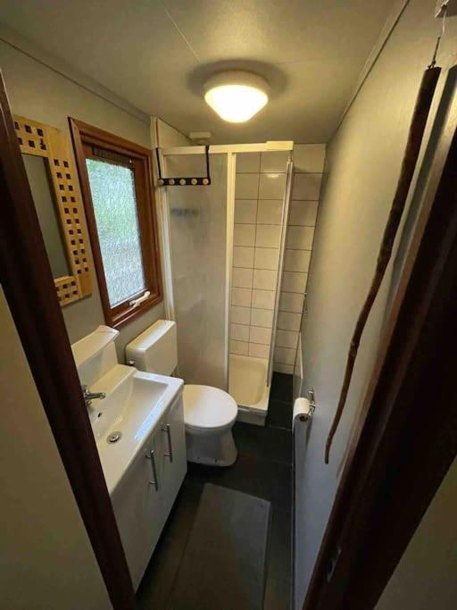 פוטן Gezellig Chalet Op De Prachtige Veluwe מראה חיצוני תמונה
